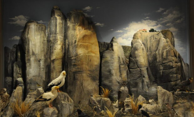 Έκτο στην Ευρώπη το Μουσείο Φυσικής Ιστορίας Μετεώρων και Μουσείο Μανιταριών