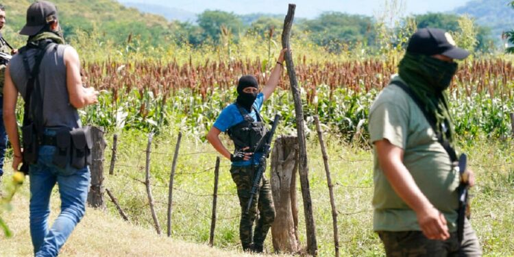 Επιβεβαιώνει ότι πρότεινε στην Σέινμπαουμ την ανάπτυξη στρατού στο Μεξικό κατά των καρτέλ ναρκωτικών