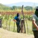 Επιβεβαιώνει ότι πρότεινε στην Σέινμπαουμ την ανάπτυξη στρατού στο Μεξικό κατά των καρτέλ ναρκωτικών