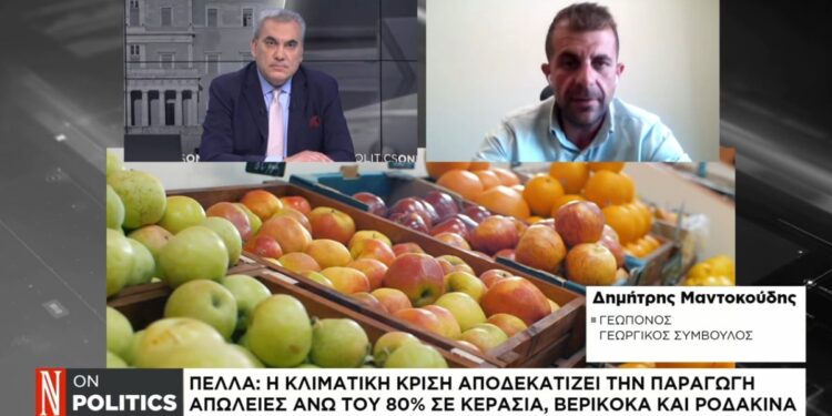 Δ. Μαντοκούδης (Γεωπόνος): Δραματική μείωση της γεωργικής παραγωγής