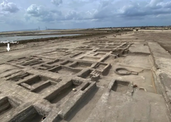 Ανακαλύφθηκε μονοπάτι με δέντρα που οδηγούσε σε αρχαίο στρατιωτικό οχυρό της Δυναστείας των Πτολεμαίων