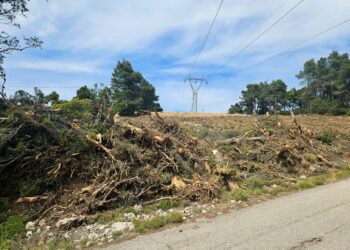Καθαρισμός οικοπέδων: Ξεπέρασαν τις 200.000 οι δηλώσεις
