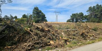 Καθαρισμός οικοπέδων: Ξεπέρασαν τις 200.000 οι δηλώσεις