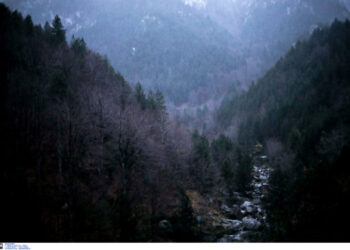 Όλυμπος: Αίσιο τέλος για την τετραμελή οικογένεια που εγκλωβίστηκε στον Μύτικα