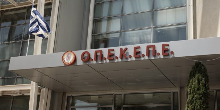 Ο Κ. Τσιάρας καρατόμησε τον πρόεδρο του Οργανισμού