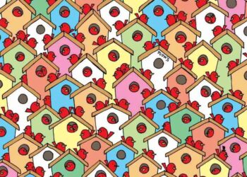 Μόνο αν έχετε παρατηρητικότητα ντετέκτιβ θα βρείτε 3 μήλα σε 6 δευτερόλεπτα