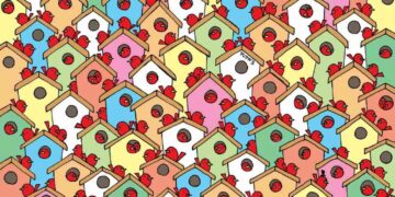 Μόνο αν έχετε παρατηρητικότητα ντετέκτιβ θα βρείτε 3 μήλα σε 6 δευτερόλεπτα