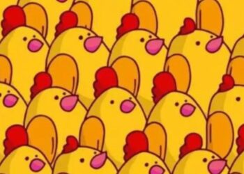 Μόνο αν έχετε αετίσια ματιά θα βρείτε την ουρά του σκίουρου σε 6 δευτερόλεπτα