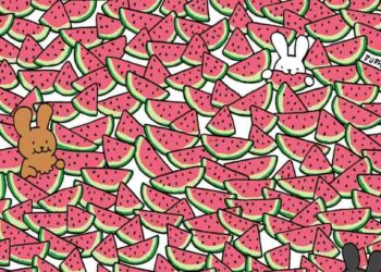 Μόνο 1 στους 10 ανθρώπους θα βρει τα 5 καρπούζια χωρίς κουκούτσια σε 10 δευτερόλεπτα