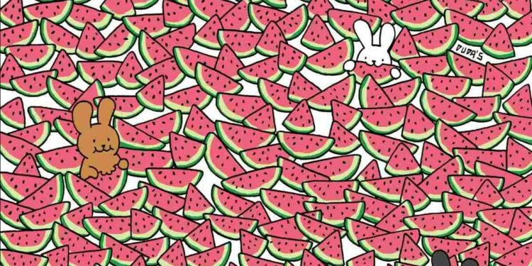 Μόνο 1 στους 10 ανθρώπους θα βρει τα 5 καρπούζια χωρίς κουκούτσια σε 10 δευτερόλεπτα