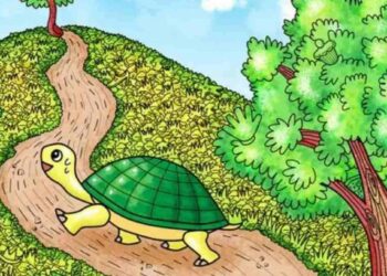 Μόνο το 3% των ανθρώπων θα βρει την βελόνα σε 7 δευτερόλεπτα