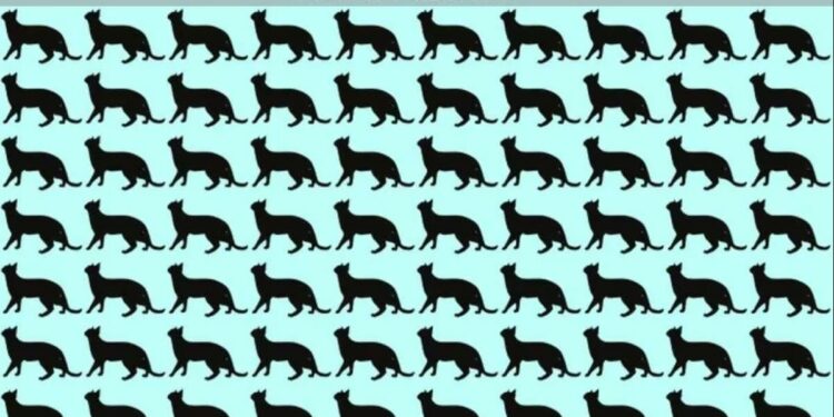 Μόνο 1 στους 10 ανθρώπους θα βρει την διαφορετική γάτα σε 8 δευτερόλεπτα