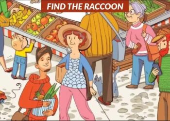 Μόνο αν έχετε αετίσια ματιά θα βρείτε το ρακούν σε 6 δευτερόλεπτα