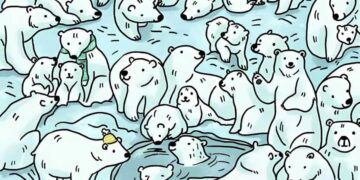 Μόνο το 3% των ανθρώπων θα βρει την φώκια σε 7 δευτερόλεπτα