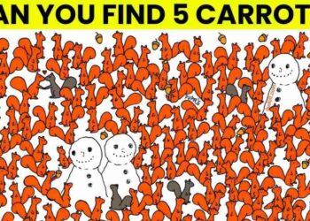 Μόνο το 3% των ανθρώπων θα βρει τα 5 καρότα σε 7 δευτερόλεπτα