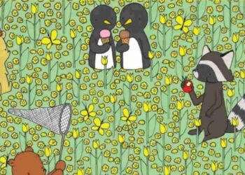 Μόνο αν έχετε αετίσια ματιά θα βρείτε την μέλισσα σε 9 δευτερόλεπτα