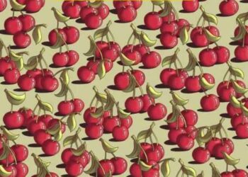 Μόνο 1 στους 10 ανθρώπους θα βρει την ντομάτα σε 7 δευτερόλεπτα