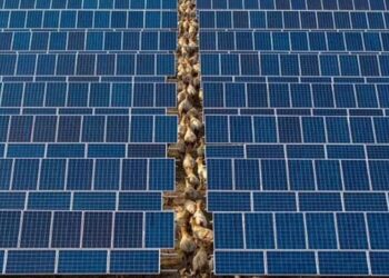 Βρετανία: Η Κίνα έχει εγκαταστήσει κρυφά διακόπτες θανάτου σε ηλιακούς συλλέκτες που πωλούνται στη Δύση