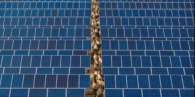 Βρετανία: Η Κίνα έχει εγκαταστήσει κρυφά διακόπτες θανάτου σε ηλιακούς συλλέκτες που πωλούνται στη Δύση