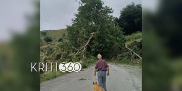 Κακοκαιρία: Πτώσεις δέντρων στα Χανιά
