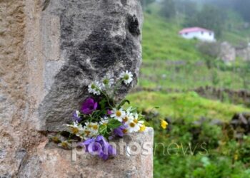 Τα «μυρίπνοα άνθη» του Πόντου και η έξοδος στα παρχάρια – Μνήμες και παραδόσεις