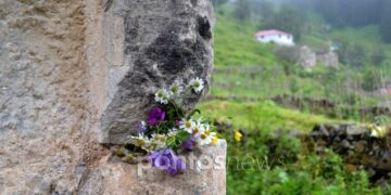 Τα «μυρίπνοα άνθη» του Πόντου και η έξοδος στα παρχάρια – Μνήμες και παραδόσεις