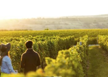 Προς ολοκλήρωση επενδύσεις 5 εκατ. ευρώ