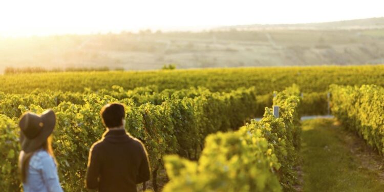 Προς ολοκλήρωση επενδύσεις 5 εκατ. ευρώ
