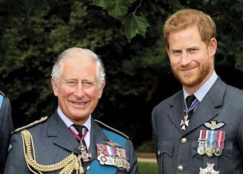 «Είναι απογοητευμένος και αναστατωμένος» από την αντίδραση του πρίγκιπα Χάρι