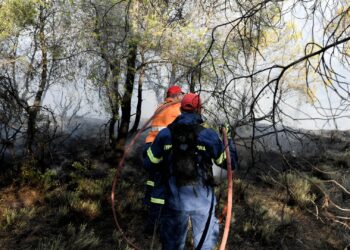 Ενισχύθηκαν οι δυνάμεις πυρόσβεσης – Κινητοποιήθηκαν 9 εναέρια μέσα