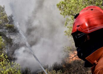 Συνελήφθη 87χρονος για τη φωτιά στον Αλμυροπόταμο – Του επιβλήθηκε πρόστιμο