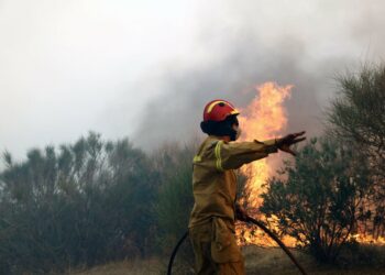 Φωτιά τώρα στα Μέθανα – Μεγάλη κινητοποίηση της Πυροσβεστικής