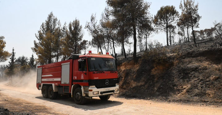 Εύβοια: Συνελήφθη 87χρονος που κάπνιζε μελίσσια