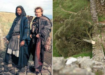 Ένοχοι οι δύο άνδρες που έκοψαν το εμβληματικό δέντρο Sycamore Gap