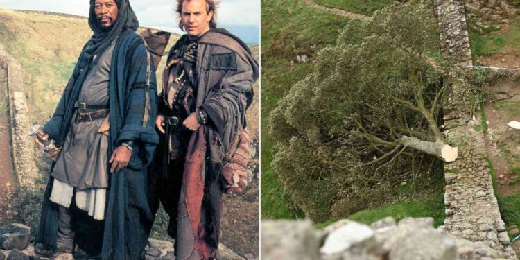 Ένοχοι οι δύο άνδρες που έκοψαν το εμβληματικό δέντρο Sycamore Gap