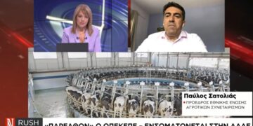 «Δομικές αδυναμίες του κράτους και επιτήδειοι» προκάλεσαν το πρόβλημα