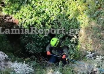 Φθιώτιδα: Δύο άνδρες έπεσαν σε γκρεμό προσπαθώντας να αλλάξουν λάστιχο σε μηχάνημα
