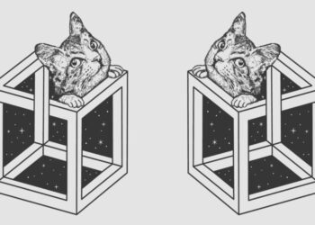 Αυτό που βλέπετε πρώτα στην εικόνα αποκαλύπτει πόσο «Ζεν» είστε