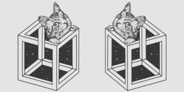 Αυτό που βλέπετε πρώτα στην εικόνα αποκαλύπτει πόσο «Ζεν» είστε