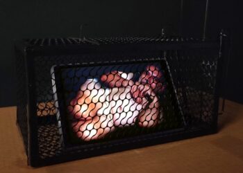 Έκθεση του Μπάμπη Βενετόπουλου στο Λόφος Art Project