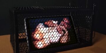 Έκθεση του Μπάμπη Βενετόπουλου στο Λόφος Art Project