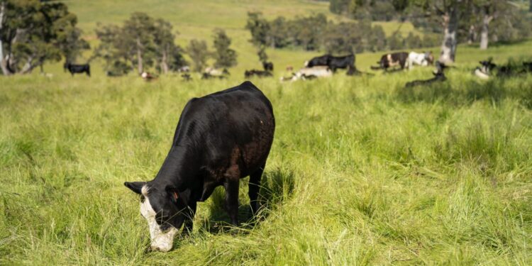 ΟΠΕΚΕΠΕ: Στο κόκκινο η κόντρα διοίκησης