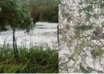 «Στρώμα» από χαλάζι σκέπασε χωριά του νομού – Σοβαρές ζημιές στους ελαιώνες