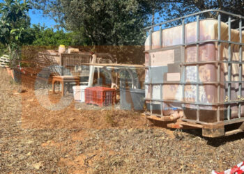 Suspect arrested for the murder of 41-year-old Albanian man in Rafina