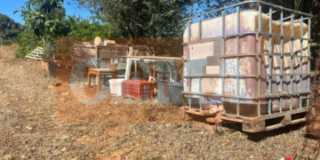 Suspect arrested for the murder of 41-year-old Albanian man in Rafina