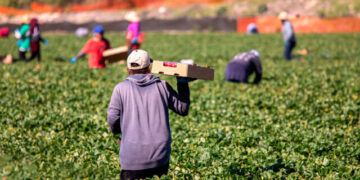 A breath away from the bilateral agreement with India for labor – Interest in 50,000 workers, the process