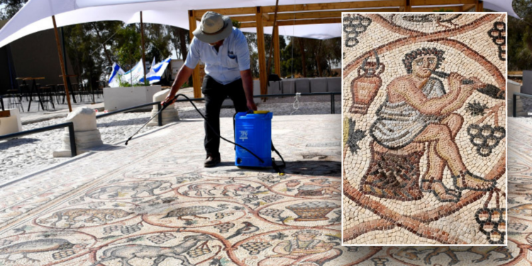 Αποκαλύφθηκε σπάνιο ψηφιδωτό 1.600 ετών σε χριστιανικό μοναστήρι