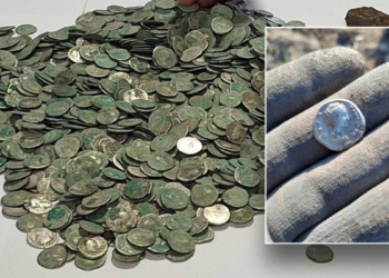 Φυσιολάτρης βγήκε περίπατο στο δάσος και ανακάλυψε τυχαία θησαυρό ανεκτίμητων νομισμάτων