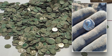 Φυσιολάτρης βγήκε περίπατο στο δάσος και ανακάλυψε τυχαία θησαυρό ανεκτίμητων νομισμάτων