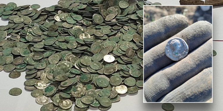 Φυσιολάτρης βγήκε περίπατο στο δάσος και ανακάλυψε τυχαία θησαυρό ανεκτίμητων νομισμάτων